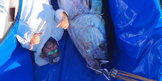 Live Bait for Giant Tuna