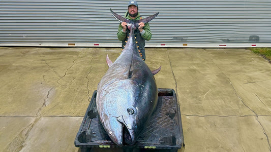 Real-World Review: Joe VT Fishing x LBP300 Bait Pen