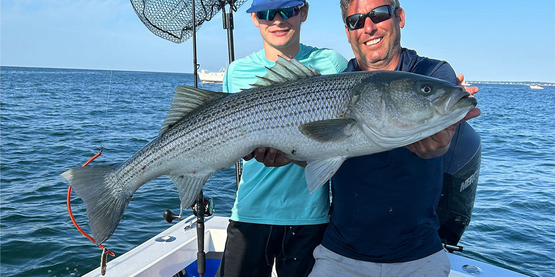 Striped Bass