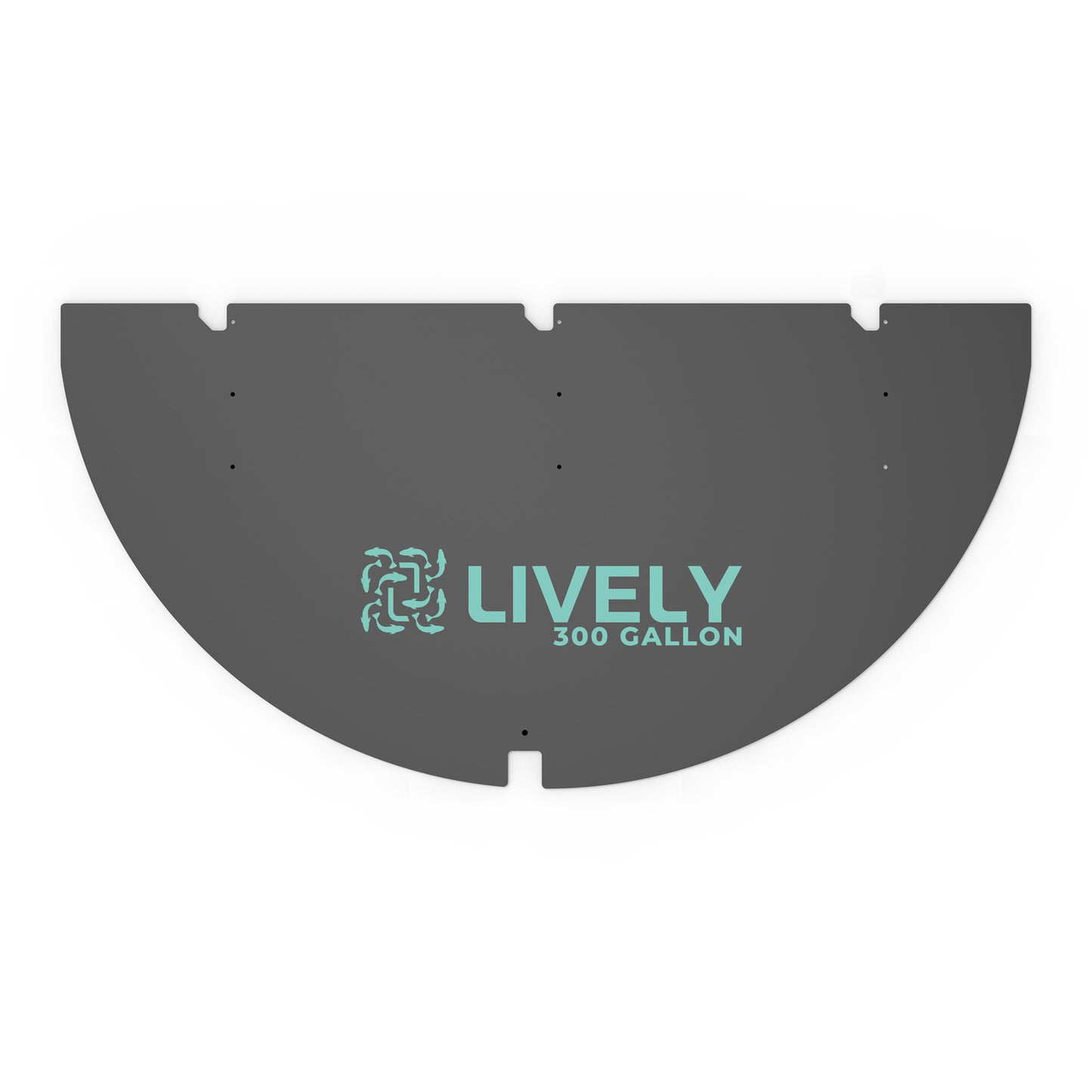 Lively 300 Lid Replacement