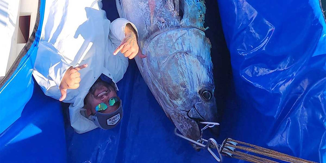 Live Bait for Giant Tuna
